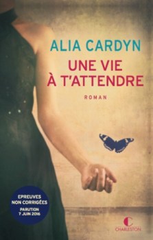 Une vie à t'attendre