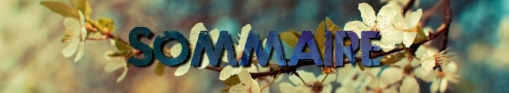 sommaire livre