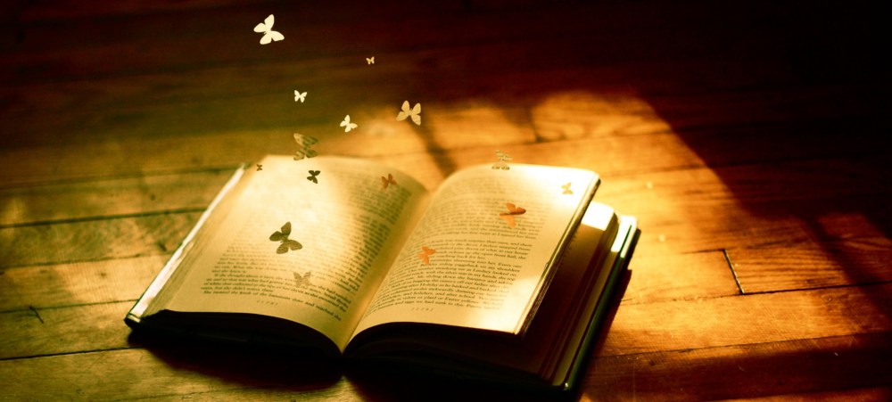 28f900fafce68dc33b1a4701cdd7a62f_large