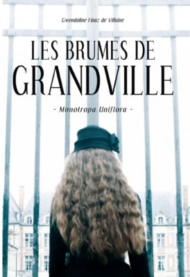 Les brumes de Grandville